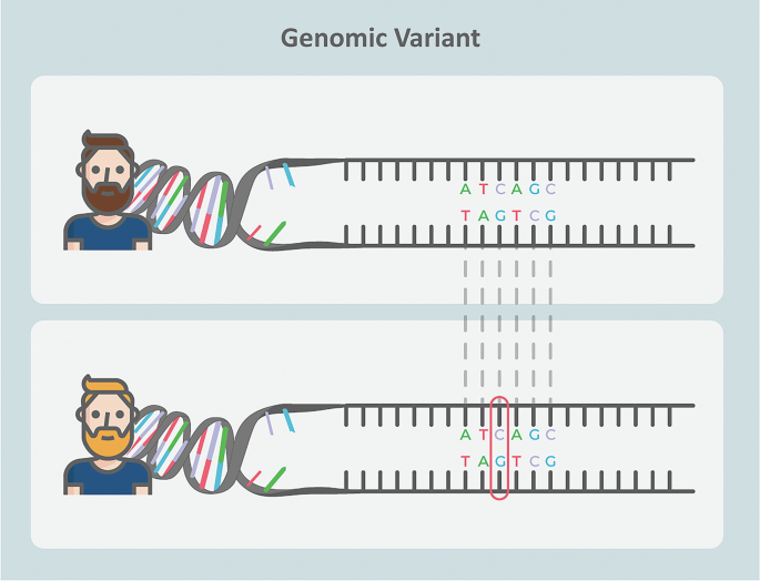 variants pic example