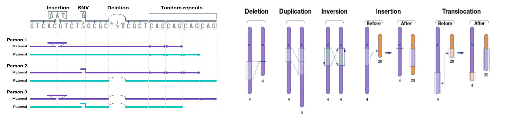 variants pic example